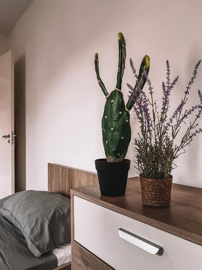 Cozy 3 Bedrooms Flat In Paceville Saint Julian's Eksteriør billede